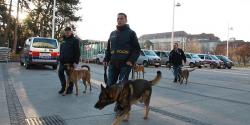 Canine dogs ready for work in Wiener Stadthalle Canine dogs ready for work in Wiener Stadthalle
