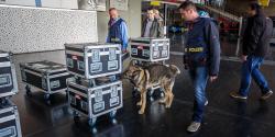 Each box are thoroughly inspected by specially trained sniffer dogs Each box are thoroughly inspected by specially trained sniffer dogs