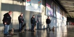 The security has high priority. The canine unit is ready for work The security has high priority. The canine unit is ready for work